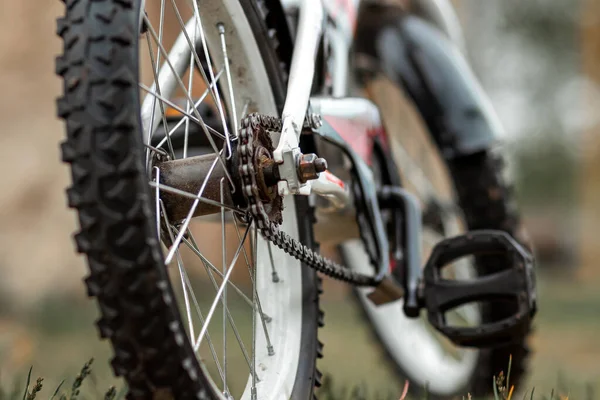 Rueda Con Una Banda Rodadura Con Primer Plano Cadena Bicicleta —  Fotos de Stock