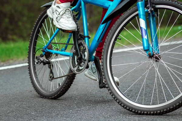 自転車のペダルの上の脚を閉じると 森の中で道路に乗る 健康的なライフスタイル 心臓トレーニングの概念 コピースペース — ストック写真