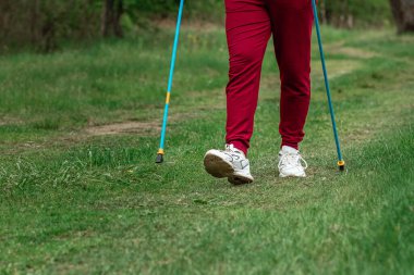 İskandinav yürüyüşü, sopalar, bacaklar. Sağlıklı yaşam tarzı konsepti, kardiyo eğitimi. Kopyalama alanı
