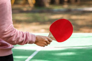 Masa tenisi raketleri el ele. Sağlıklı yaşam tarzı, spor oyunları. Boşluğu kopyala, yumuşak odak