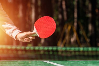 Masa tenisi raketleri el ele. Sağlıklı yaşam tarzı, spor oyunları. Boşluğu kopyala, yumuşak odak
