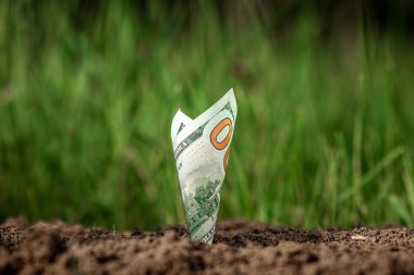 Amerikan dolarları bir yeşillik zeminine karşı bitki gibi büyür. Yatırım konsepti, pasif gelir, faiz, hisse senedi, kar payı. Boşluğu kopyala