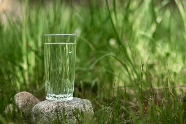 緑の背景に澄んだ水のガラス 天然物のコンセプト 防腐剤なし スペースのコピー — ストック写真