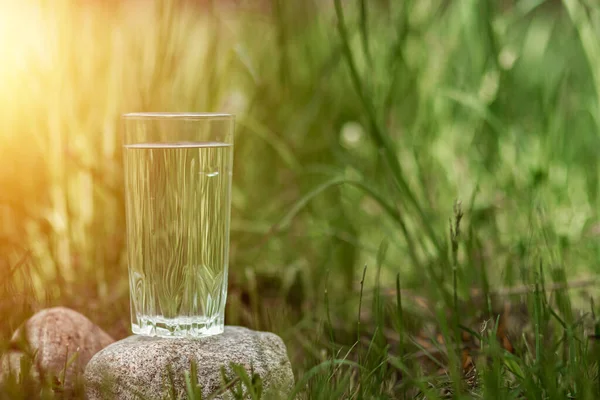 Vaso Agua Limpia Sobre Fondo Vegetación Concepto Productos Naturales Sin — Foto de Stock