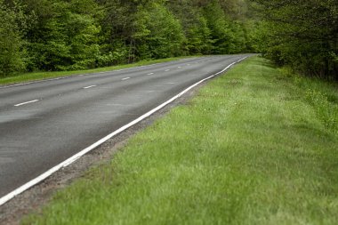 Güzel yaz manzarası ormandaki yeşil orman ve yol