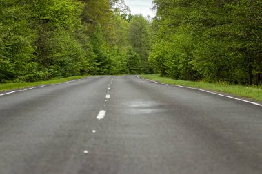 Güzel yaz manzarası ormandaki yeşil orman ve yol
