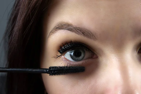 Beautiful Girl Paints Eyes Mascara Close Cosmetics Personal Care — Stock Photo, Image