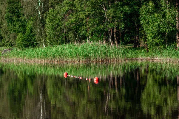 Lifebuoy, safety buoys on the water in the lake, beach. Red-white plastic buoys floating on the water