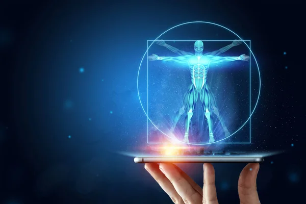 Hologram Vitruvian Man Structure Human Muscles Biology Muscular System Human — Stock Photo, Image