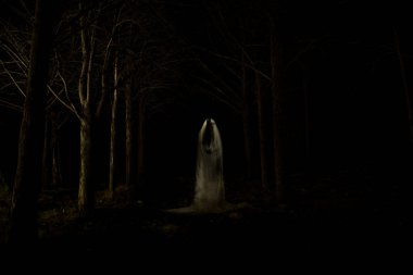 Toplam karanlık ve yapılmış lightpainting tekniği kullanarak ormanın ortasında bir hayalet resmi