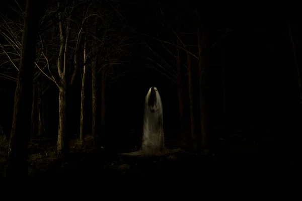Bild Ett Spöke Mitt Skogen Med Totalt Mörker Och Gjord — Stockfoto