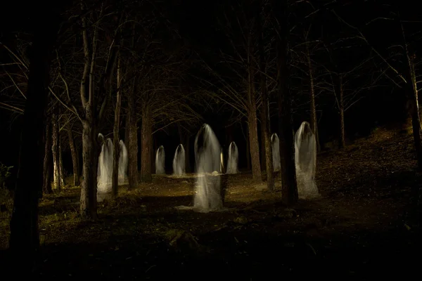 Imagen Grupo Fantasmas Medio Del Bosque Con Total Oscuridad Realizados Fotos De Stock
