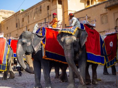 Jaipur, Hindistan, 20 Eylül 2018. Bir fil binmek için Amber fort için ziyaret edin