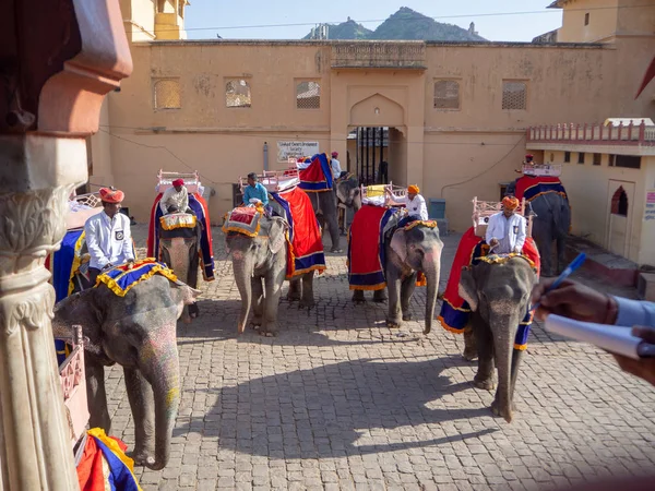 Jaipur India Septiembre 2018 Visita Fuerte Ámbar Para Paseo Elefante — Foto de Stock
