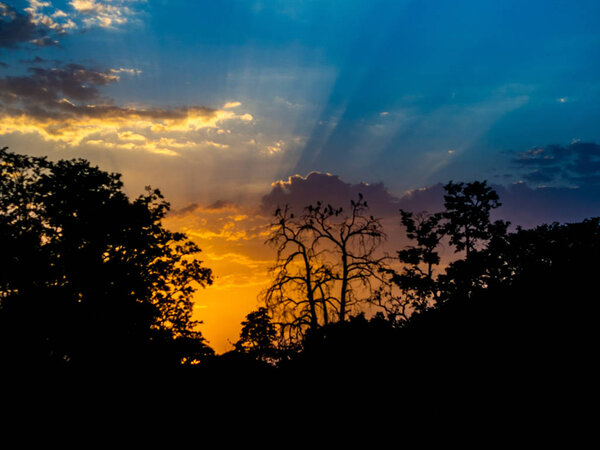 Photograph of a beautiful sunset among trees taken in Jaipur, India