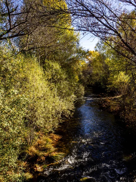 Rio Atravessando Uma Floresta Durante Temporada Outono — Fotografia de Stock