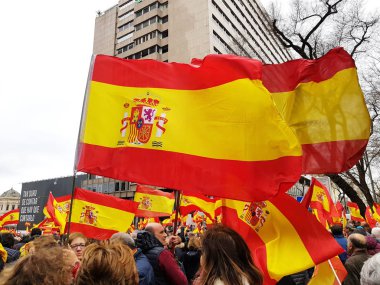 Madrid, 10 Şubat 2019. İspanyol vatandaşları Madrid Sosyalist hükümette mitingi katılmak