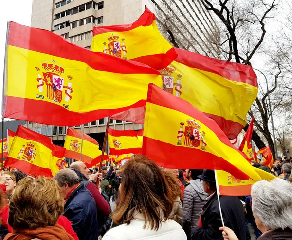 马德里 2019年2月10日 西班牙公民参加在马德里举行的反对社会主义政府的示威活动 — 图库照片