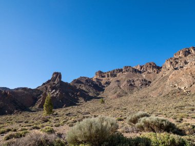 Los Roques volkanik manzara ve El Teide