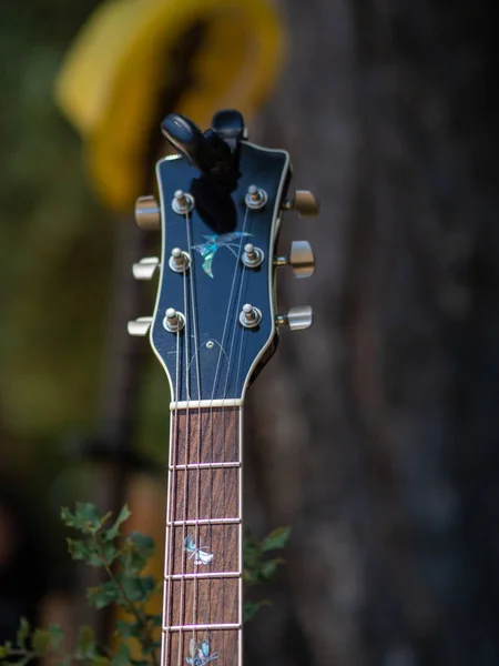 Gitara spoczywa na drzewie czekając na wznowienie koncertu — Zdjęcie stockowe