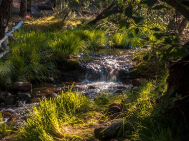 Manzanares Nehri. Guadarrama Dağları Milli Parkı, Madrid, İspanya' da, La Pedriza boyunca rotası boyunca