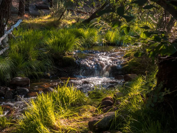 Manzanares Nehri. Guadarrama Dağları Milli Parkı, Madrid, İspanya' da, La Pedriza boyunca rotası boyunca