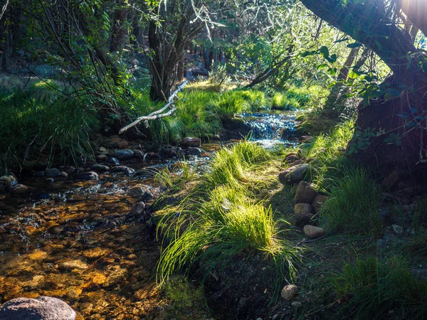 La rivière Manzanares. Le long de son parcours à travers La Pedriza, dans le parc national des montagnes de Guadarrama, Madrid, Espagne — Photo