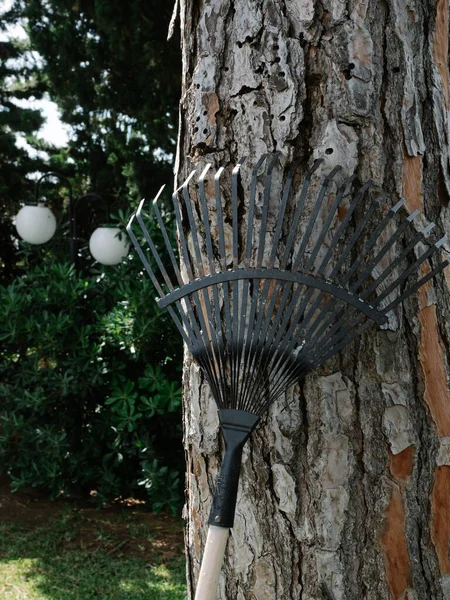 木の幹に安置された鋼製熊手のイメージ — ストック写真