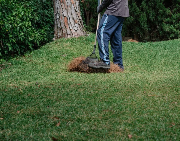 Jardinero Con Sombrero Máscara Haciendo Sus Tareas Jardín —  Fotos de Stock