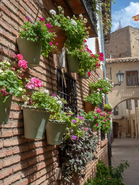 スペインの村のレンガの壁から吊るされた色とりどりの花が咲く花器 — ストック写真