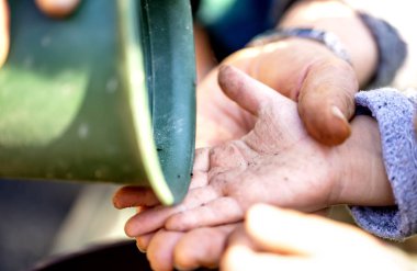 küçük çocuğun el bitki saksı bitki vardır. ve baba ya da anne