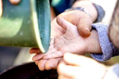 küçük çocuğun el bitki saksı bitki vardır. ve baba ya da anne
