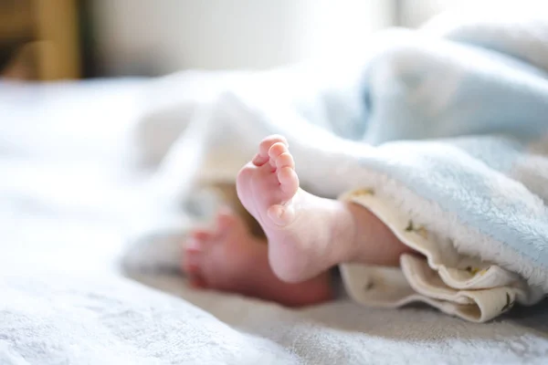 Newborn baby on a white and light blue blanket - tiny baby feet. — Stock Photo, Image