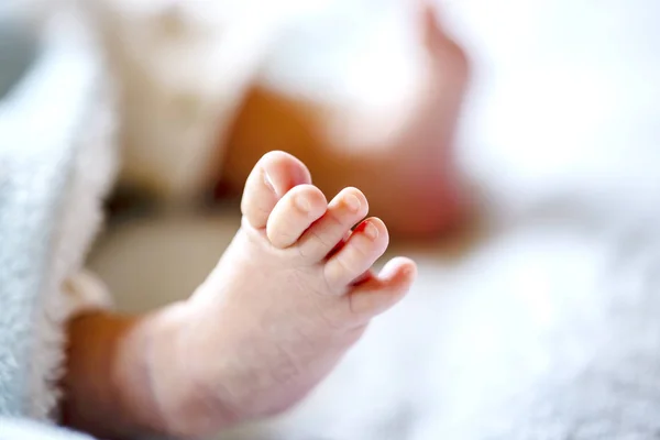 Bebê recém-nascido em um cobertor branco e azul claro - pequenos pés de bebê . — Fotografia de Stock