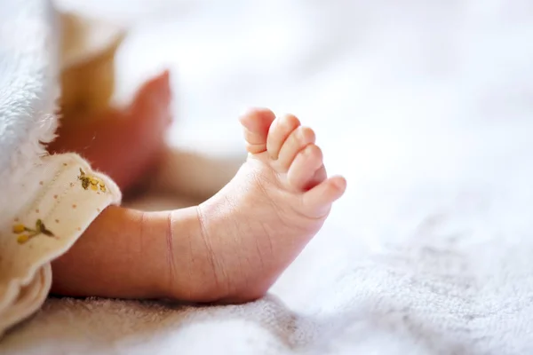 Bebê recém-nascido em um cobertor branco e azul claro - pequenos pés de bebê . — Fotografia de Stock