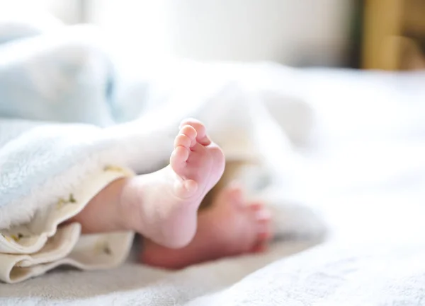 白色和浅蓝色毯子上的新生儿 - 小小的婴儿脚. — 图库照片