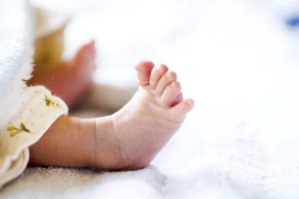 Bebê recém-nascido em um cobertor branco e azul claro - pequenos pés de bebê . — Fotografia de Stock