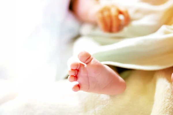 Bebê recém-nascido em um cobertor branco e azul claro - pequenos pés de bebê . — Fotografia de Stock