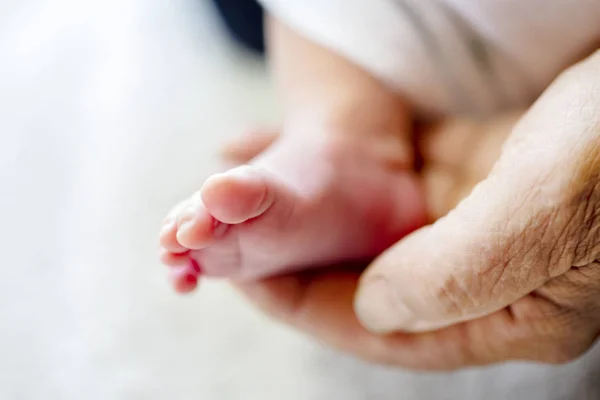the feet of the baby in the palms of an adult