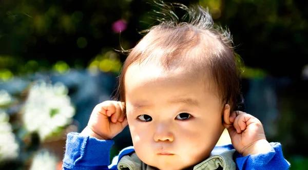 Baby Berühren Seine Ohren Isoliert Auf Einem Schwarzen Hintergrund Und — Stockfoto