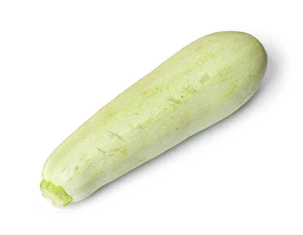 Single Damaged Squash Vegetable Marrow Zucchini Isolated White Background — Stock Photo, Image