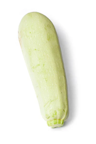 Single Damaged Squash Vegetable Marrow Zucchini Isolated White Background — Stock Photo, Image