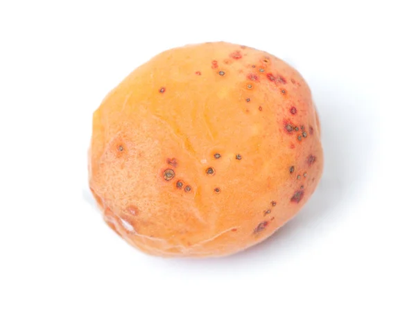 Rotten Apricot Mold Isolated White Background — Stock Photo, Image