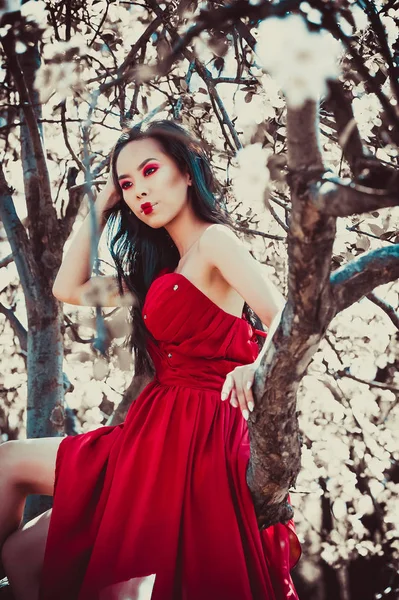 Asiatico Donna Bello Rosso Abito Seduta Albero — Foto Stock