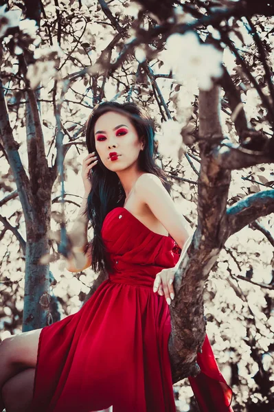 Asiatico Donna Bello Rosso Abito Seduta Albero — Foto Stock