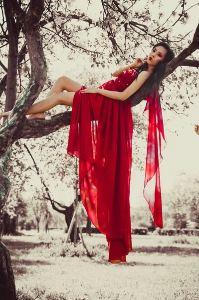 Asiatisk Kvinna Vacker Röd Klänning Sitter Trädet — Stockfoto