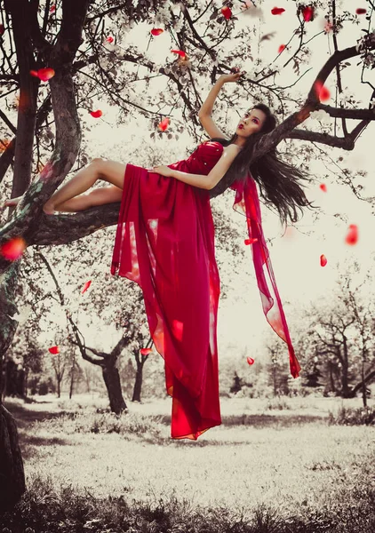 Asiatin Schönen Roten Kleid Sitzt Auf Baum — Stockfoto