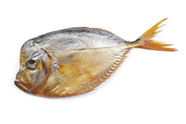 Beyaz izole arka planda vomer balık füme