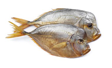 Beyaz izole arka planda vomer balık füme