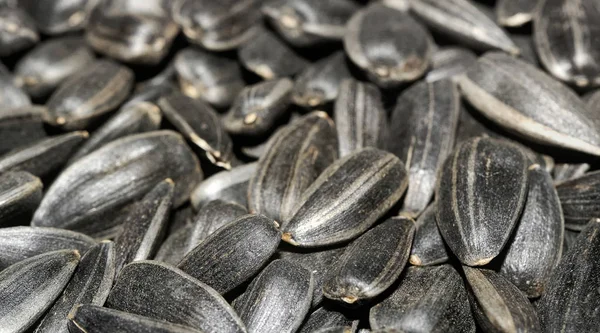 Many Black Sunflower Seeds — Stock Photo, Image